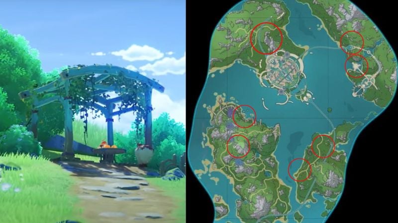 All Bulle Fruit Locations in Genshin Impact (& What They're For)