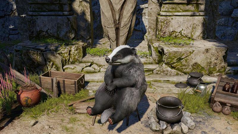 Badger Druid Wild Form in Baldur's Gate 3