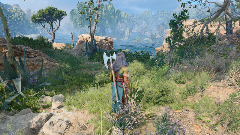 A character looking out at the water in BG3