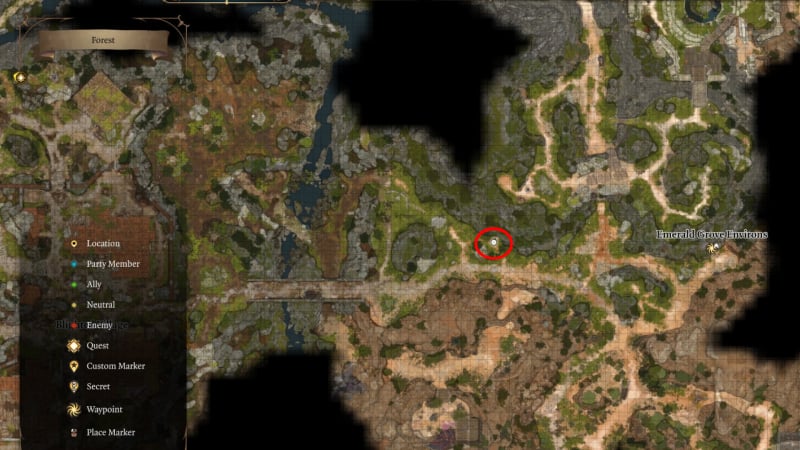 Baldur's Gate 3 Forest Map