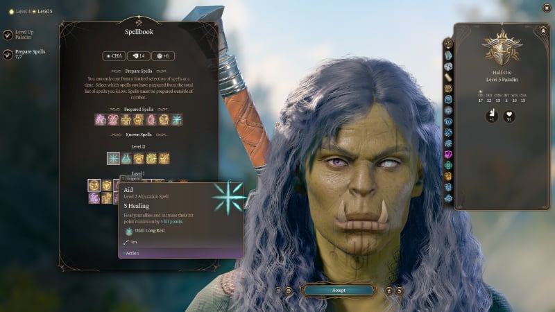 The Paladin's Aid spell in Baldur's Gate 3