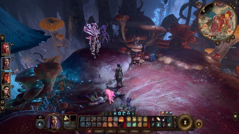 Baldurs Gate 3 Sovereign or Duergar