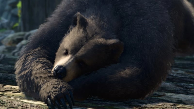 Baldur's Gate 3 fix elevator Druid Grove Tuffet bear