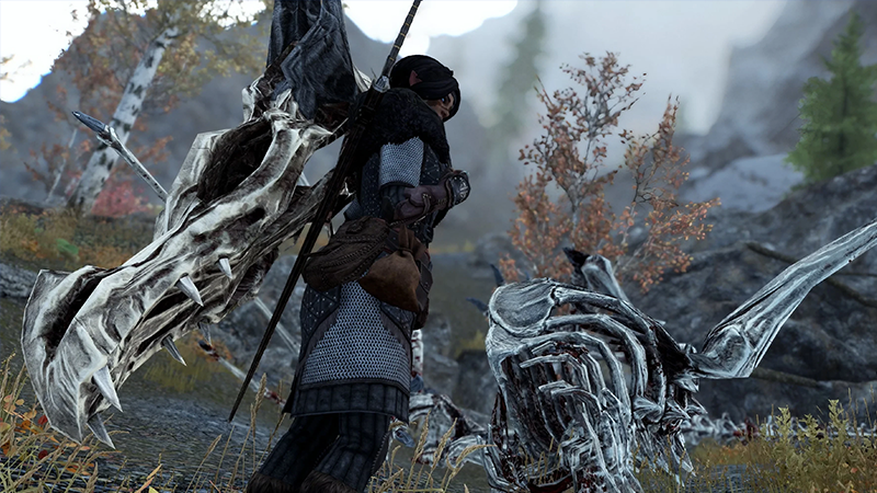 Immersive Equipment Displays Skyrim Mod