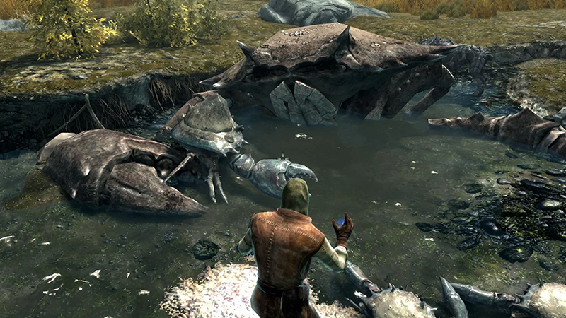 Mudcrab encounter in Skyrim