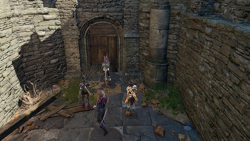 Access the Overgrown Ruins in Baldur's Gate 3