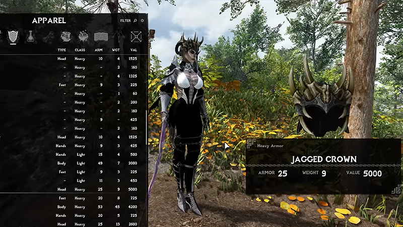 Skyrim mod Show Player In Menus