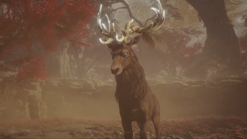 Soulframe Tennocon 2023