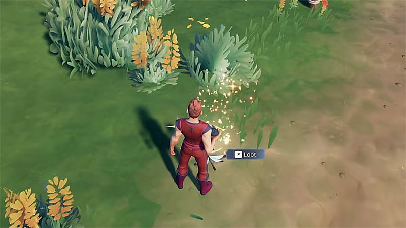 What Is Inky Dragonfly in Palia