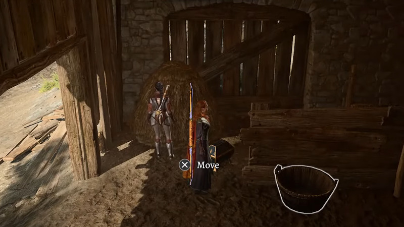 Baldurs Gate 3: Dowry Location