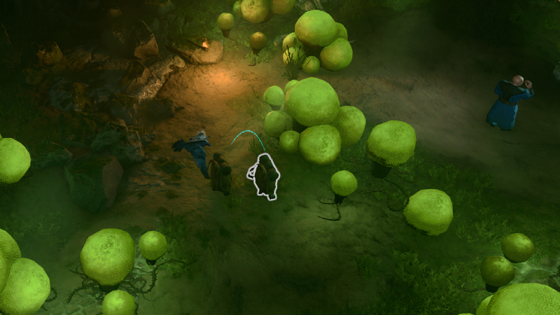 bg3 baelen, bg3 mushroom picker, bg3 noblestalk