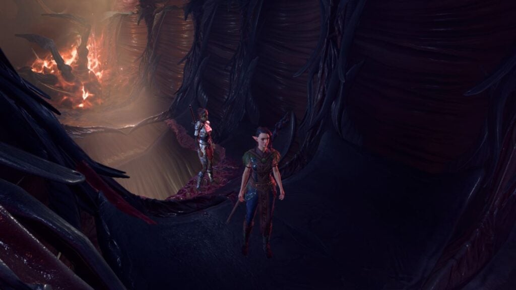 How to use the map to keep track of party members in Baldur's Gate 3.