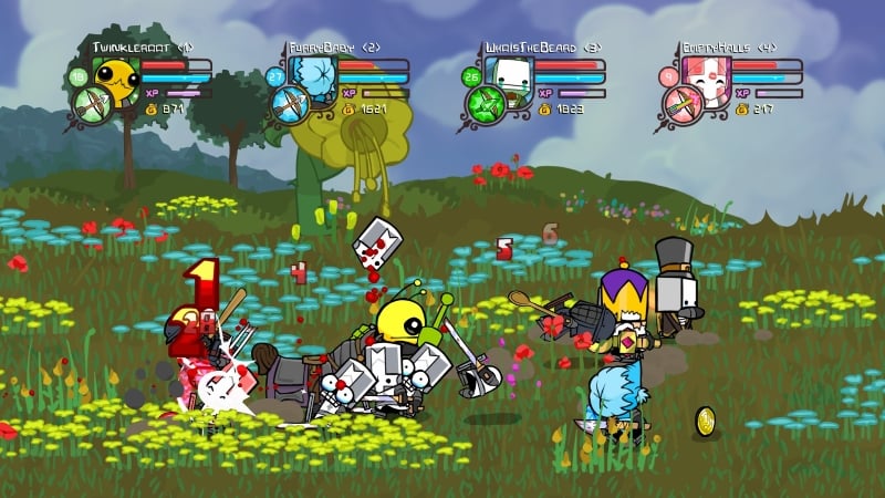 Castle Crashers combat grasslands