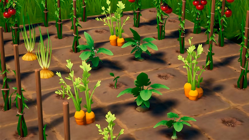 How Does Palia Best Crop Layout Work? Explained