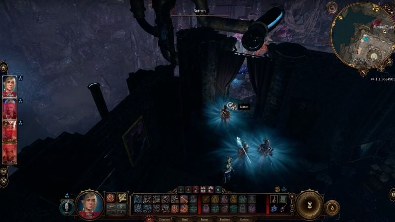 Where To Use Dog Collar