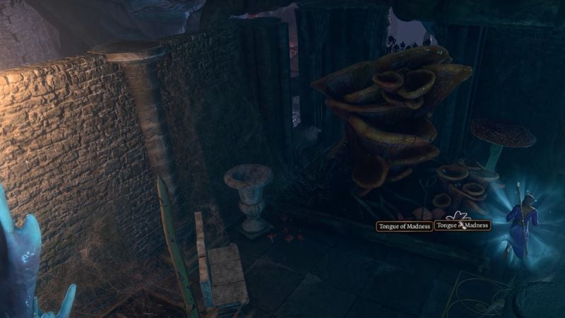 BG3: Tongues of Madness