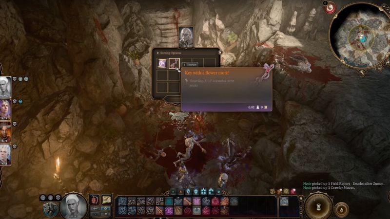 Where to Use the Flower Key in BG3