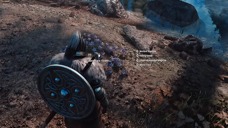 moreHUD SE Mountain Flower Showcase Skyrim PC Mod