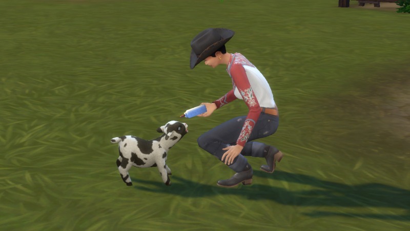 You can own mini sheep and goats in The Sims 4: Horse Ranch
