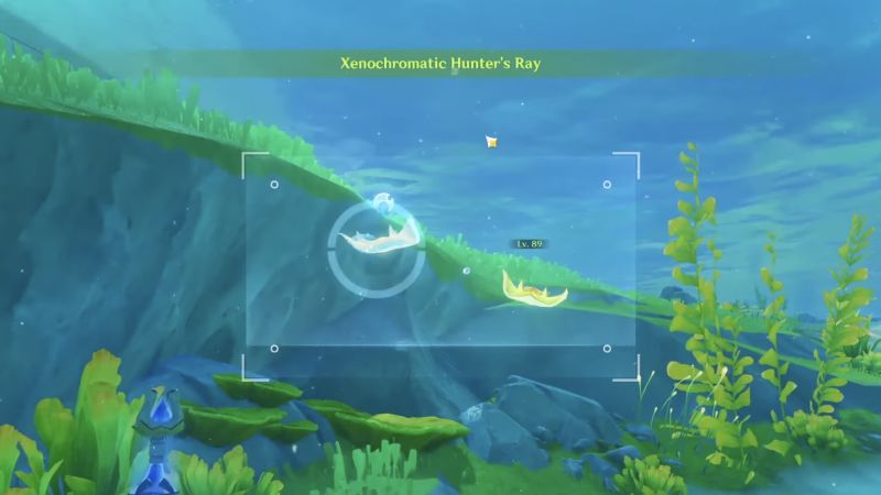 Genshin Impact: How to Photograph Xenochromatic Fontemer Aberrants - Xenochromatic Hunter's Ray