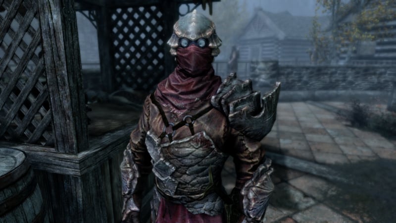 Close-up of a companion from Skyrim, one of Bethesda's most immersive games