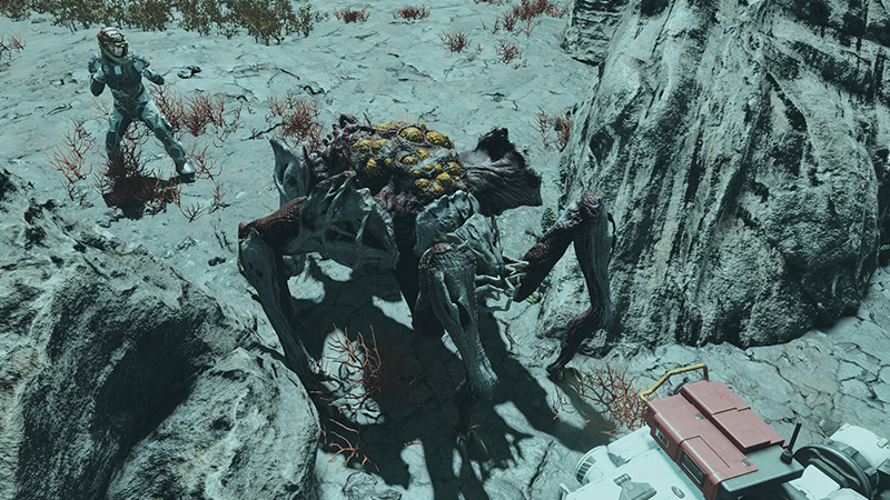 Using Companion to Tank Terromorphs in Starfield