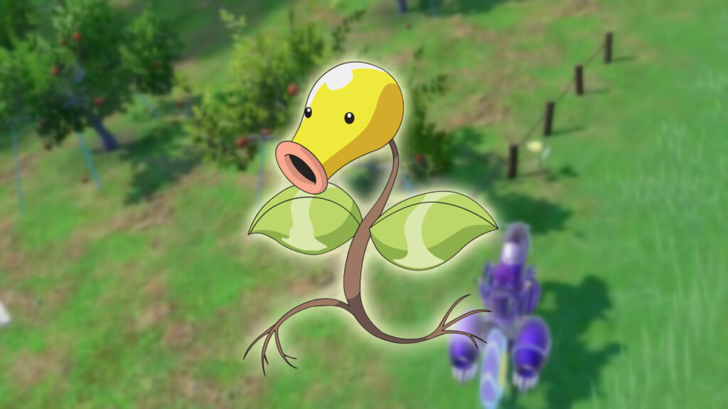 How To Get (& Evolve) Bellsprout in Pokemon Scarlet and Violet The Teal Mask Bellsprout Scarlet and Violet