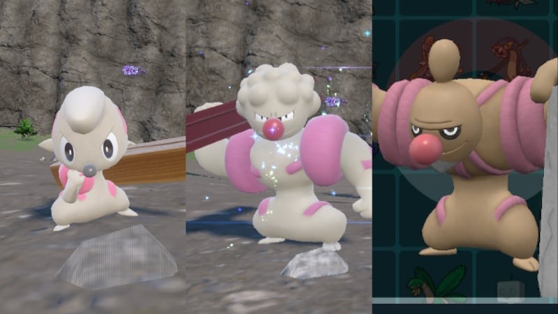 timburr gurdurr and conkeldurr pokemon scarlet and violet teal mask