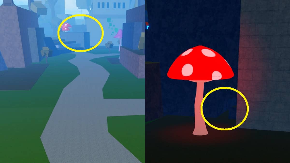 where to find the musketeer hat in roblox blox fruits