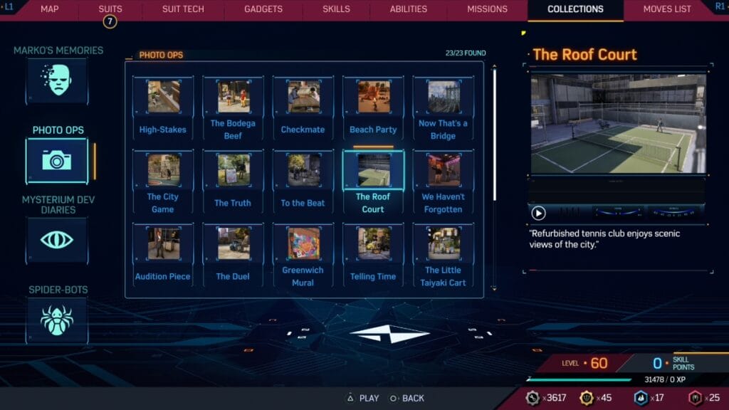 The Roof Court Picture