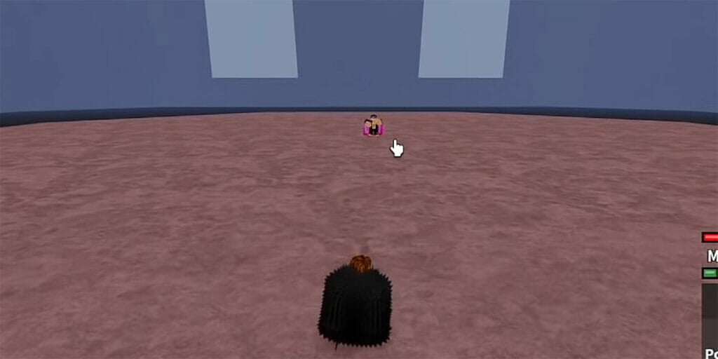 Where To Find Swan Glasses