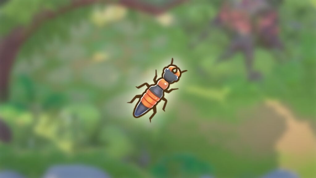 How to Catch Rove Beetle in Coral Island How To Catch Rove Beetle in Coral Island