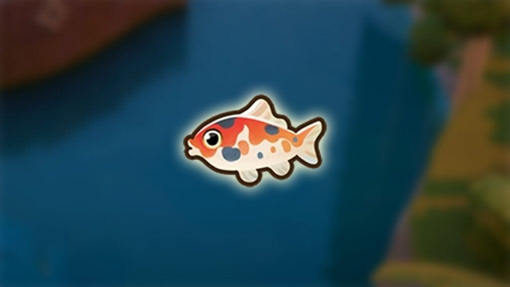How To Catch (& Use) Koi in Coral Island How To Catch (& Use) Koi in Coral Island