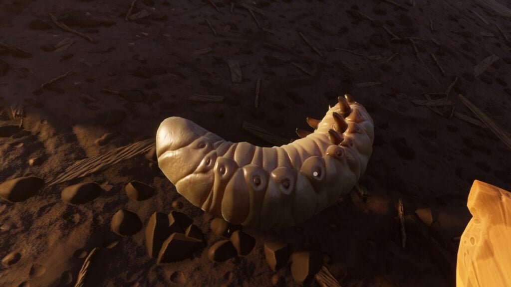 How To Get Grub Hide in Grounded (Grub Locations) Vulnerable grub in Grounded