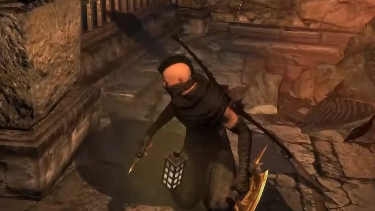 Dragon's Dogma Dark Arisen class, Strider