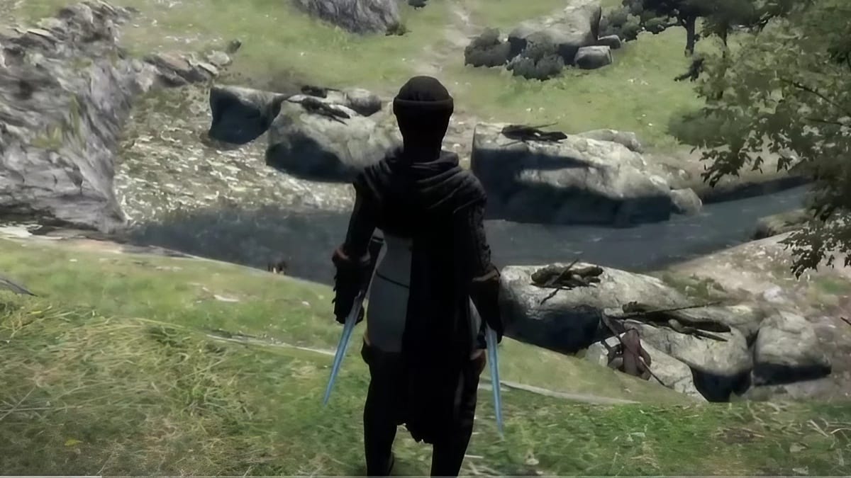 Dragon's Dogma Dark Arisen class, Assassin