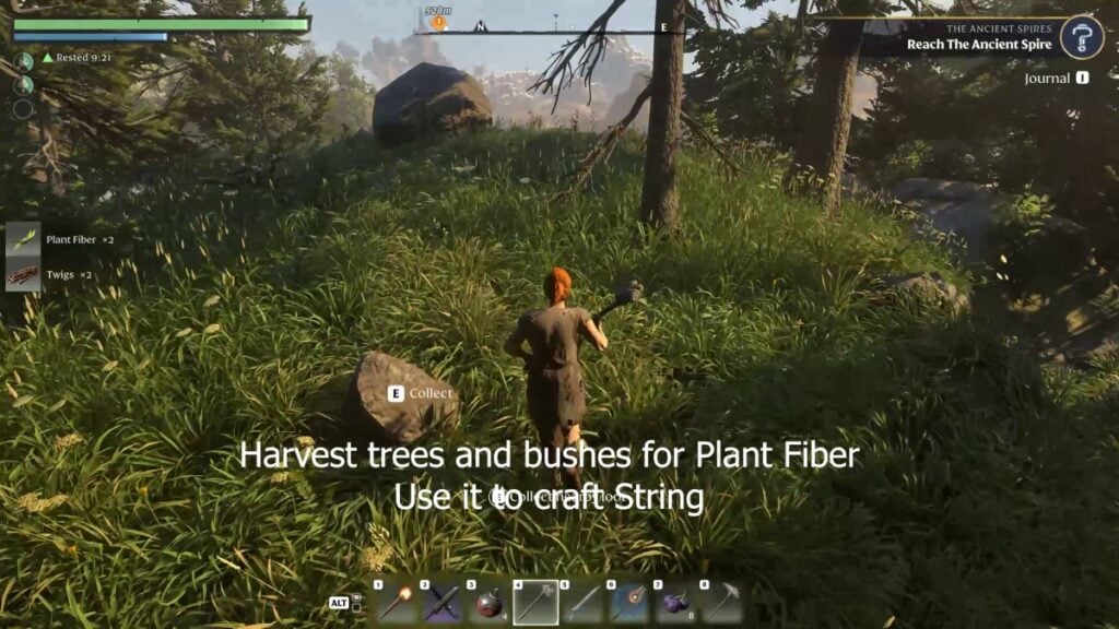Enshrouded Plant Fiber