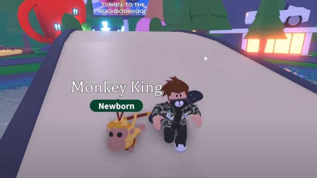 What Is the Rarest Pet in Adopt Me? Explained What Is the Rarest Pet in Adopt Me? Explained