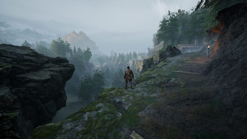 Red stands atop a mountain, looking down on the forest below