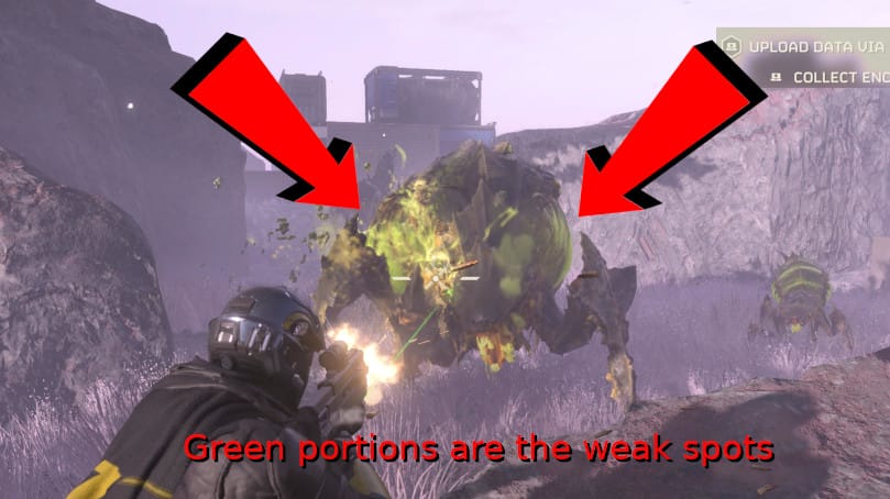 Bile Spewer Weak Points