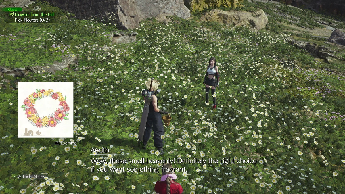Harvesting Flowers for Chloe in FF7 Rebirth Flowers From the Hill Quest