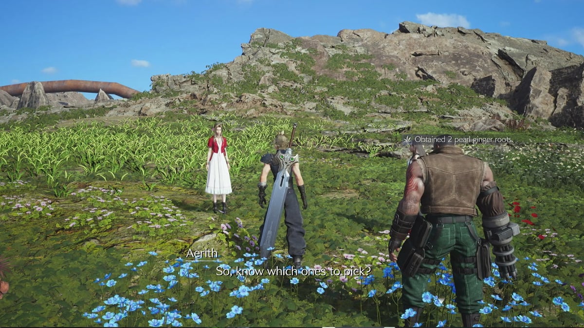 Flowers From the Hill mission