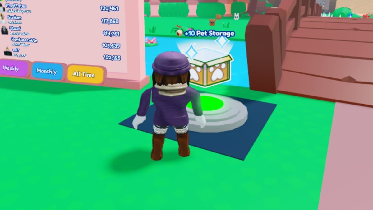 Pet catchers storage box