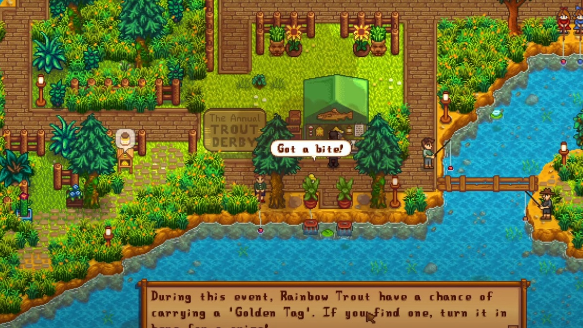 Stardew Valley Festivals Trout Derby
