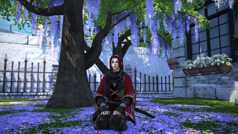 Best 10 Items From the FFXIV Mog Station You Should Buy Best Mog Station Items