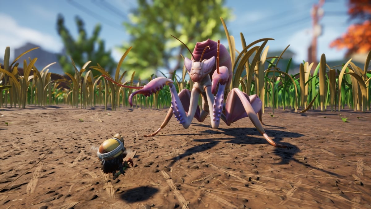 Grounded all bosses, mantis