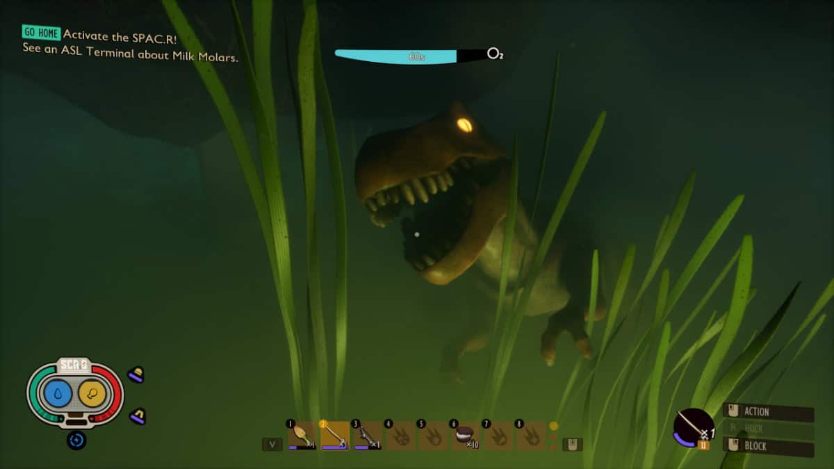 Grounded Sunken Bones location