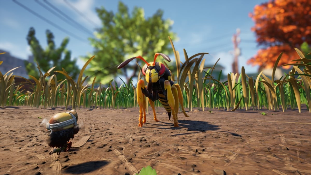 Grounded all bosses, wasp