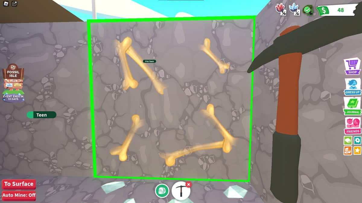 mining fossil fragments at fossil isle