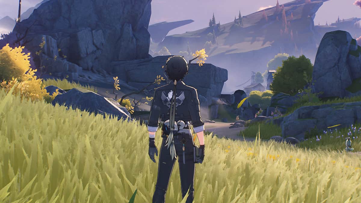 Wuthering Waves camera